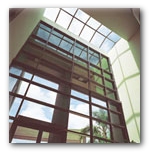 commercial window film
